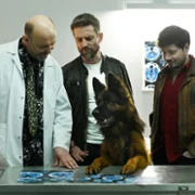 Komisarz Alex - galeria zdjęć - filmweb