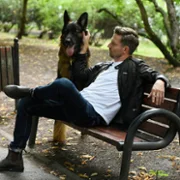 Komisarz Alex - galeria zdjęć - filmweb