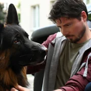 Komisarz Alex - galeria zdjęć - filmweb