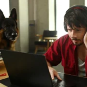 Komisarz Alex - galeria zdjęć - filmweb