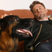 Komisarz Alex - galeria zdjęć - filmweb