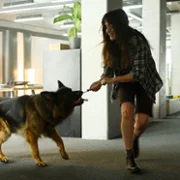 Komisarz Alex - galeria zdjęć - filmweb