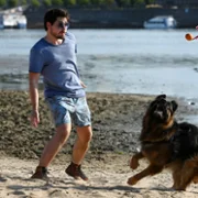 Komisarz Alex - galeria zdjęć - filmweb