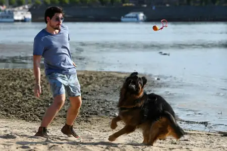 Komisarz Alex - galeria zdjęć - filmweb