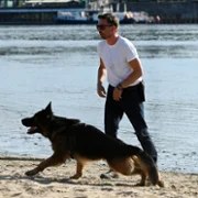 Komisarz Alex - galeria zdjęć - filmweb