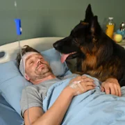 Komisarz Alex - galeria zdjęć - filmweb