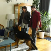 Komisarz Alex - galeria zdjęć - filmweb