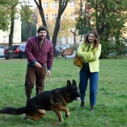 Komisarz Alex - galeria zdjęć - filmweb