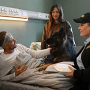 Komisarz Alex - galeria zdjęć - filmweb