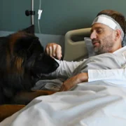 Komisarz Alex - galeria zdjęć - filmweb