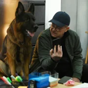 Komisarz Alex - galeria zdjęć - filmweb