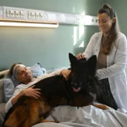 Komisarz Alex - galeria zdjęć - filmweb