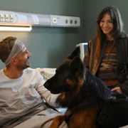 Komisarz Alex - galeria zdjęć - filmweb