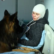 Komisarz Alex - galeria zdjęć - filmweb