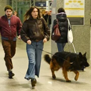 Komisarz Alex - galeria zdjęć - filmweb