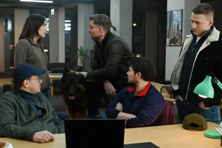 Komisarz Alex - galeria zdjęć - filmweb