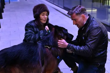 Komisarz Alex - galeria zdjęć - filmweb