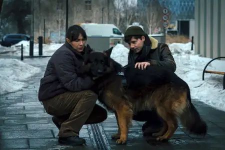 Komisarz Alex - galeria zdjęć - filmweb