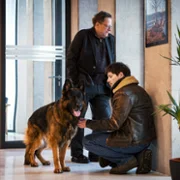 Komisarz Alex - galeria zdjęć - filmweb