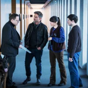 Komisarz Alex - galeria zdjęć - filmweb