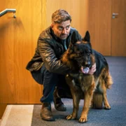 Komisarz Alex - galeria zdjęć - filmweb