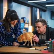 Komisarz Alex - galeria zdjęć - filmweb