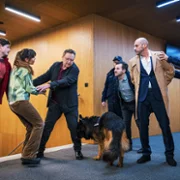 Komisarz Alex - galeria zdjęć - filmweb