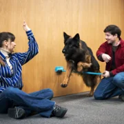 Komisarz Alex - galeria zdjęć - filmweb