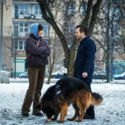 Komisarz Alex - galeria zdjęć - filmweb