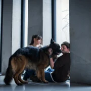 Komisarz Alex - galeria zdjęć - filmweb