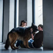 Komisarz Alex - galeria zdjęć - filmweb