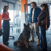 Komisarz Alex - galeria zdjęć - filmweb