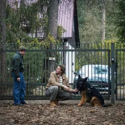 Komisarz Alex - galeria zdjęć - filmweb
