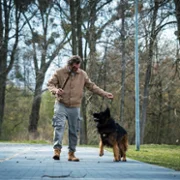 Komisarz Alex - galeria zdjęć - filmweb