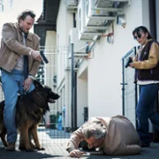 Komisarz Alex - galeria zdjęć - filmweb
