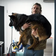 Komisarz Alex - galeria zdjęć - filmweb