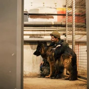 Komisarz Alex - galeria zdjęć - filmweb