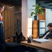 Komisarz Alex - galeria zdjęć - filmweb
