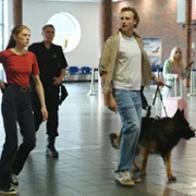 Komisarz Alex - galeria zdjęć - filmweb
