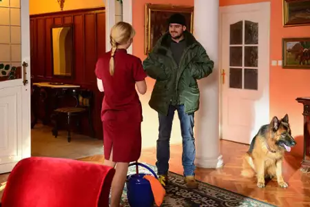 Komisarz Alex - galeria zdjęć - filmweb