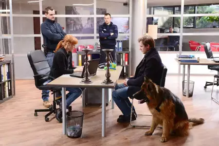 Komisarz Alex - galeria zdjęć - filmweb