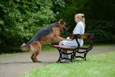 Komisarz Alex - galeria zdjęć - filmweb