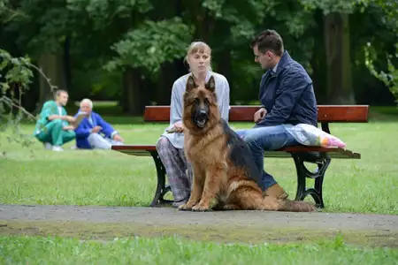 Komisarz Alex - galeria zdjęć - filmweb