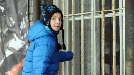 Komisarz Alex - galeria zdjęć - filmweb