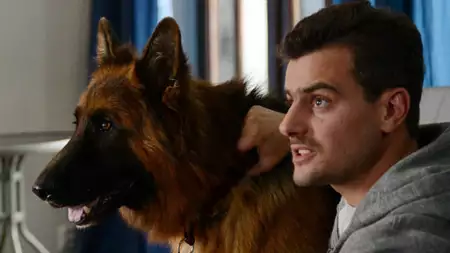 Komisarz Alex - galeria zdjęć - filmweb