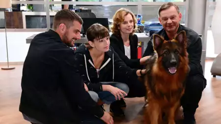 Komisarz Alex - galeria zdjęć - filmweb
