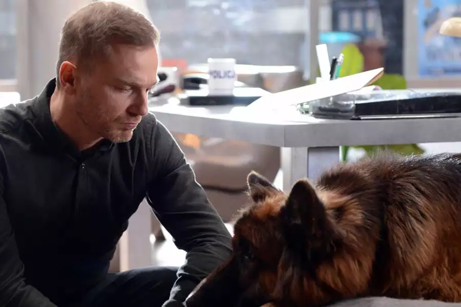Komisarz Alex - galeria zdjęć - filmweb