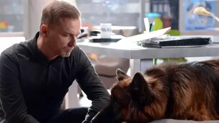 Komisarz Alex - galeria zdjęć - filmweb