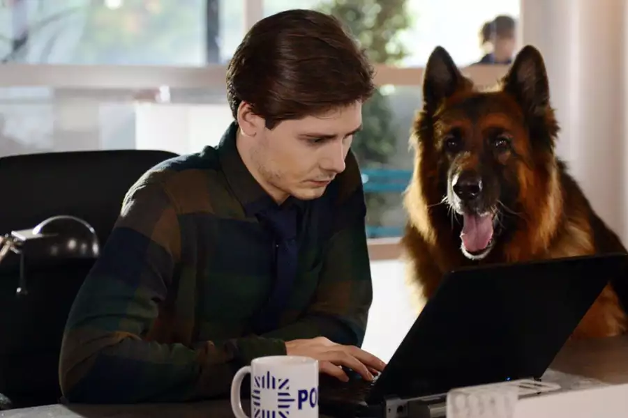 Komisarz Alex - galeria zdjęć - filmweb