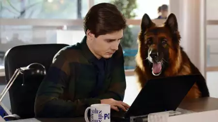 Komisarz Alex - galeria zdjęć - filmweb